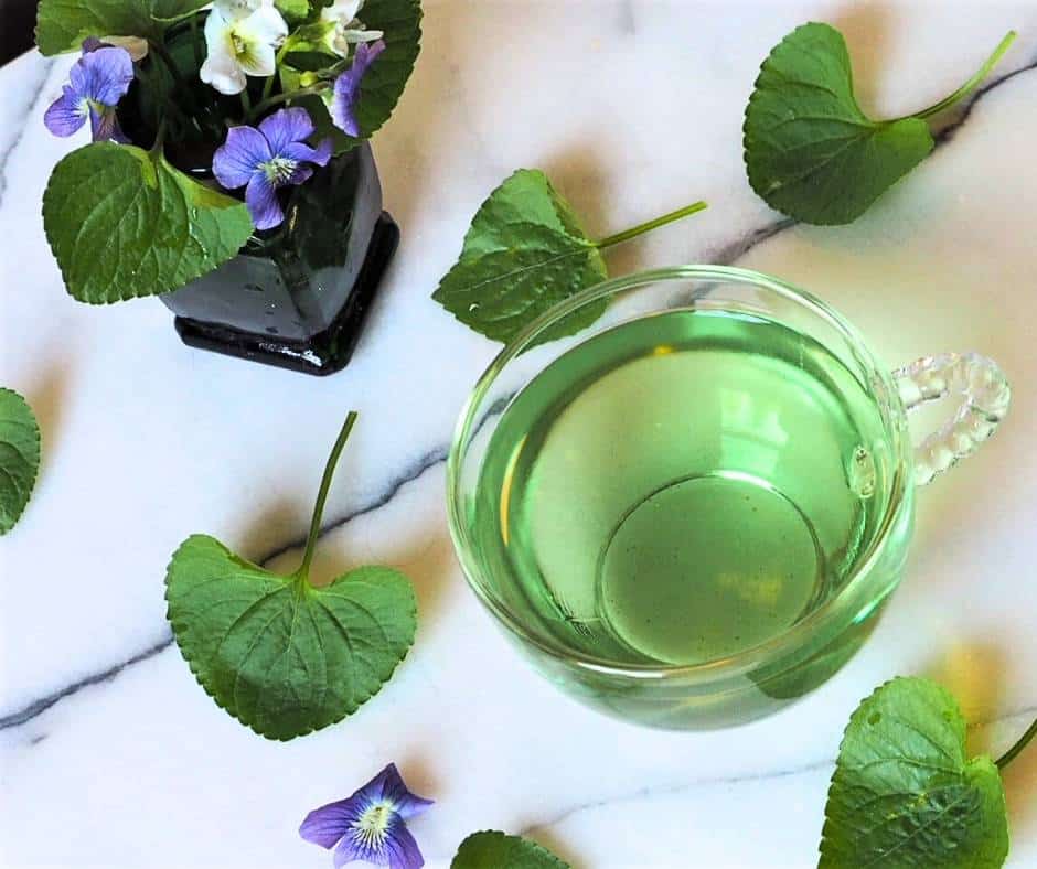 photo of wild violet tea brewing in glass cup surrounded by violet leaves and flowers on marble background