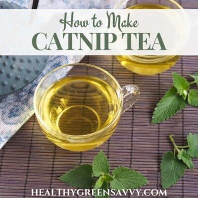 cover photo of catnip tea in glass cup with fresh catnip leaves and title text overlay