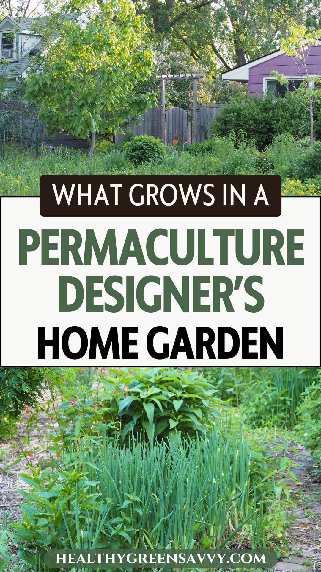 Permaculture Design in a Suburban Landscape