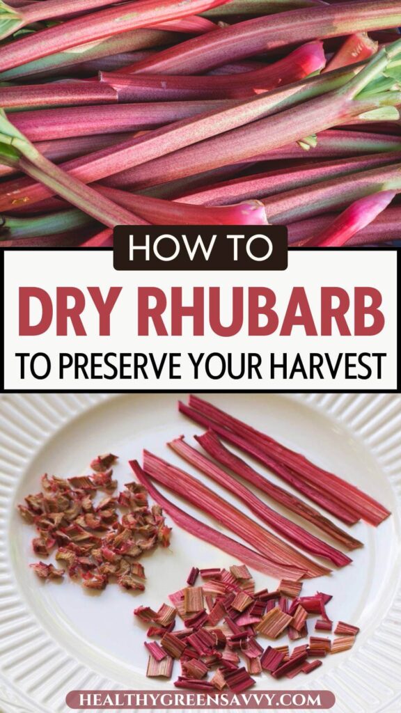 pin with photos of rhubarb stalks and dehydrated rhubarb arranged on plate with title text