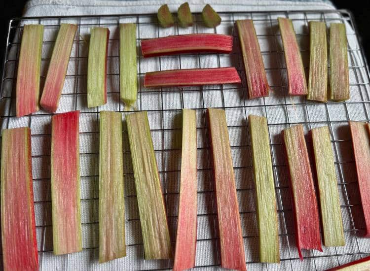 sliced rhubarb stalks on dehydrator tray