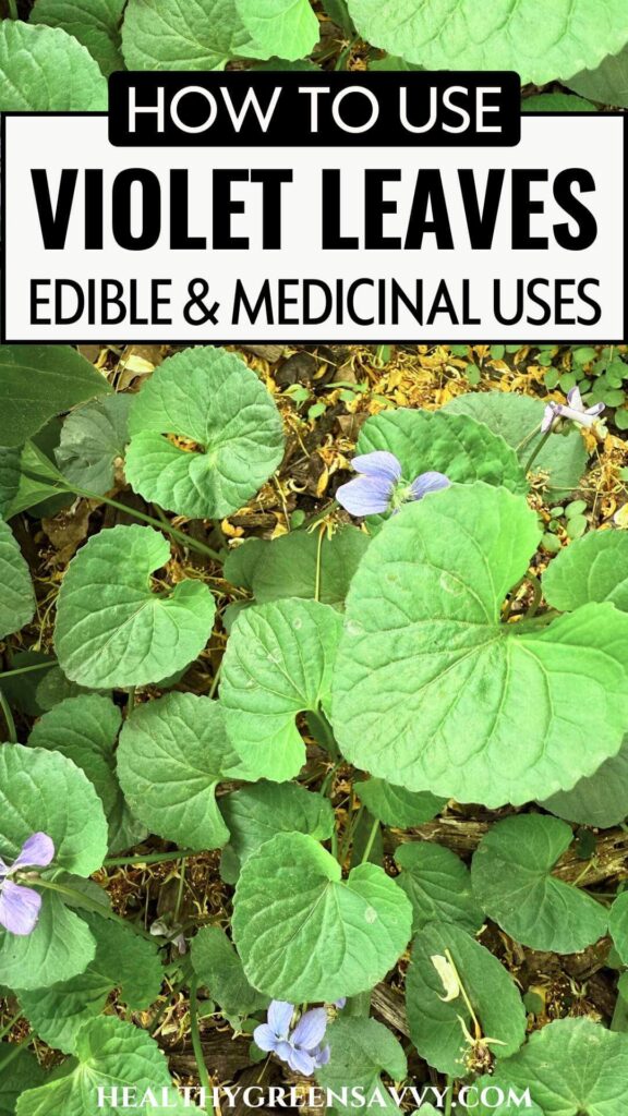 pin with photo of violet leaf & title text