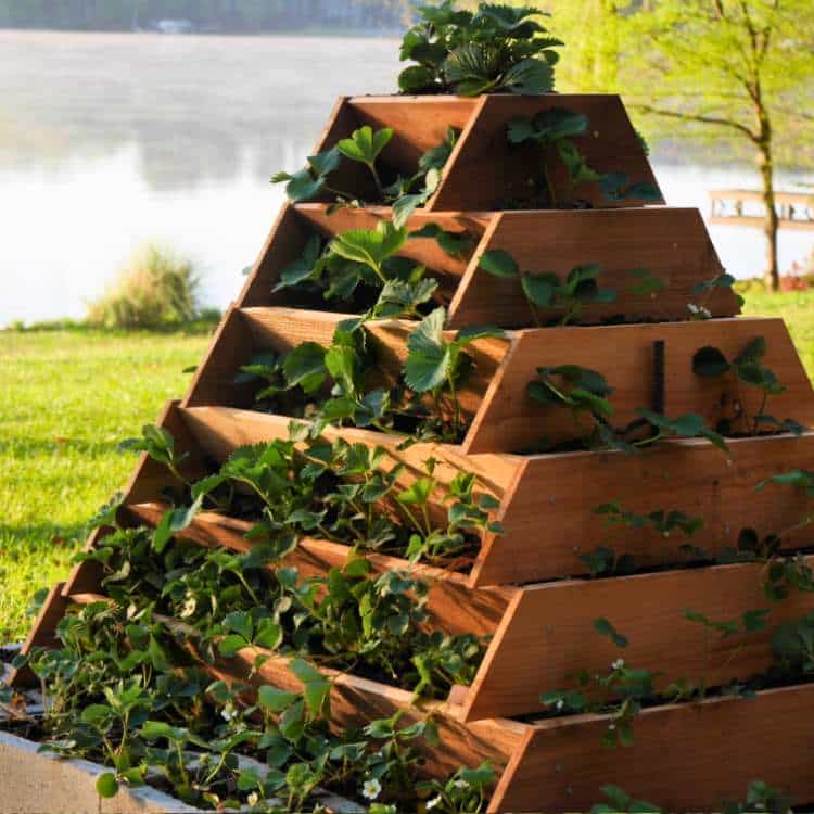 photo of DIY strawberry tower planter by Fanning Sparks