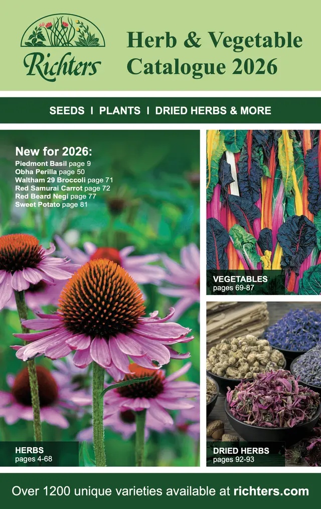 photo of Richter's seed catalog