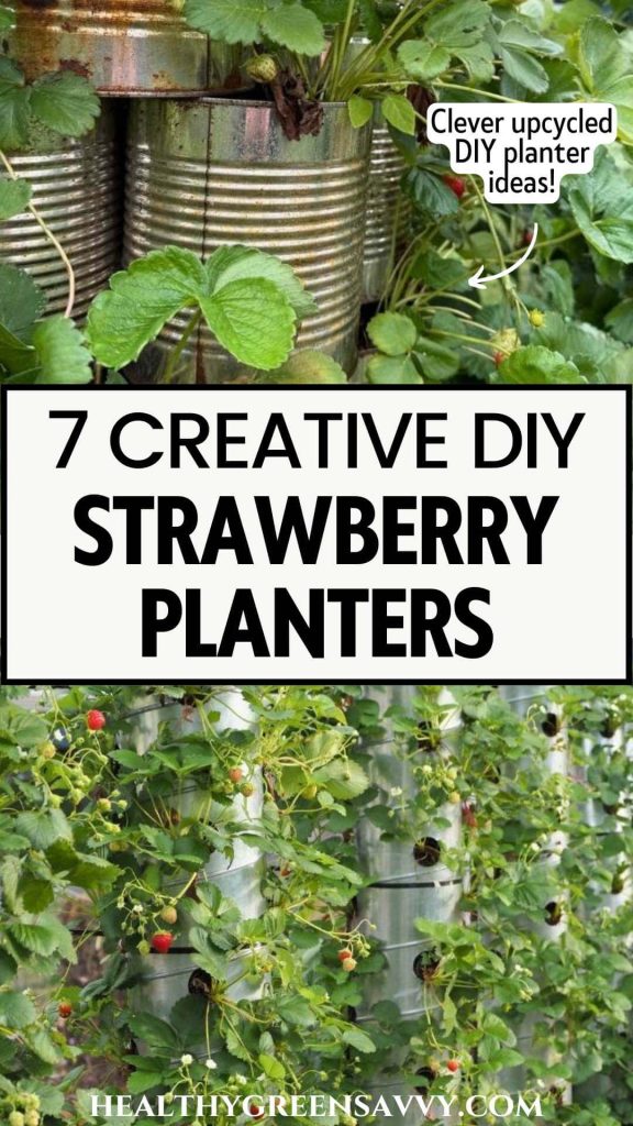 pin with photos of two DIY strawberry tower planters made from restaurant cans and ductwork with strawberry plants growing in them plus title text