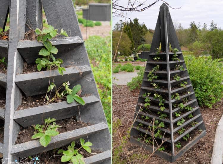 photo of DIY strawberry tower planter by Fanning Sparks