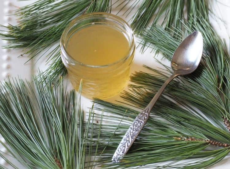 photo of pine needles and pine syrup