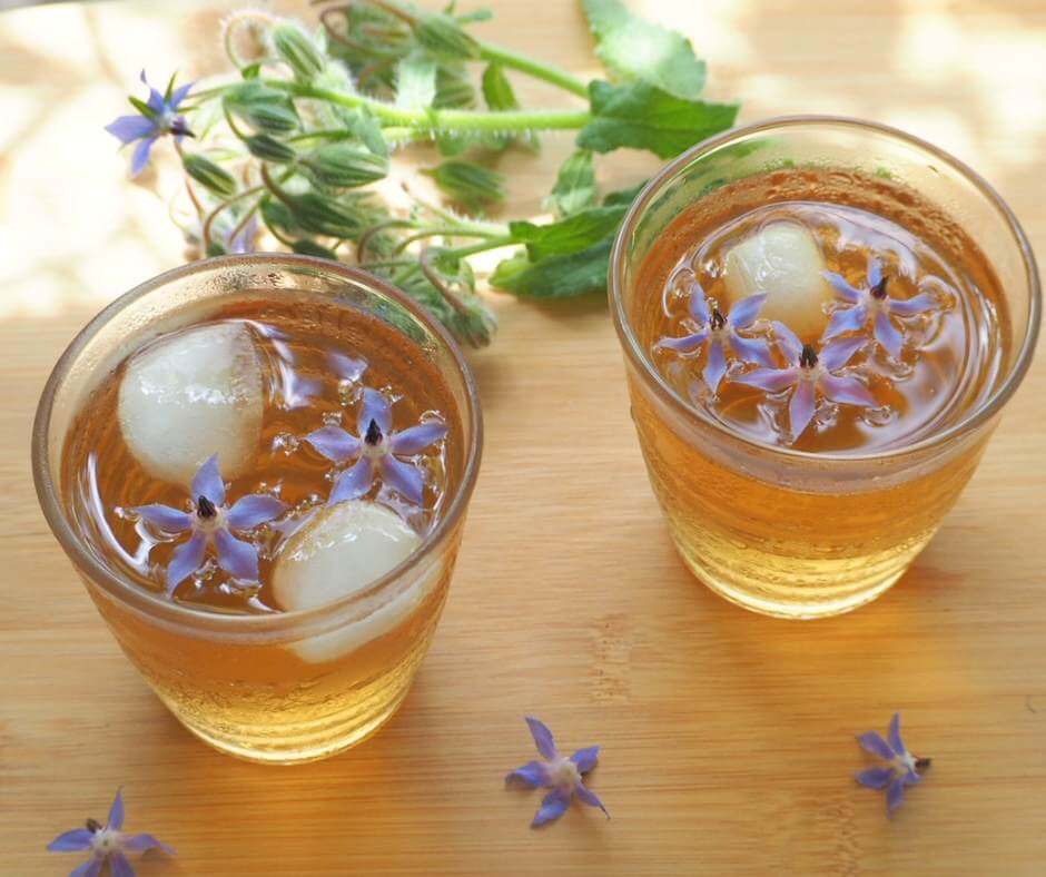 photo of iced borage tea in glasses on wood background
