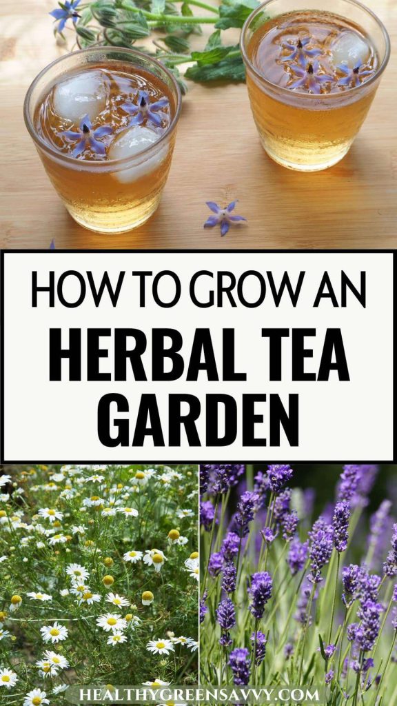 pin with photos of borage tea, chamomile, and lavender growing with title text (how to grow an Herbal Tea Garden)